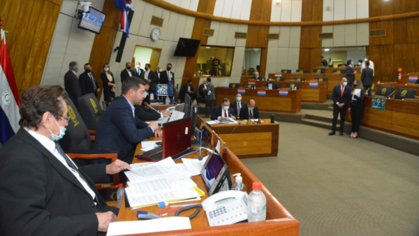 Diputados evitan interpelar al titular de Aduanas - El Independiente