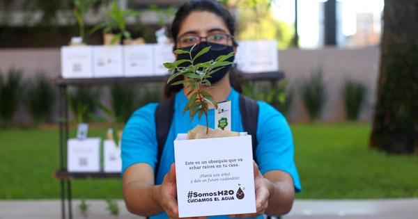 Con música y delivery de arbolitos, “Somos H2O” echó raíces en Asunción