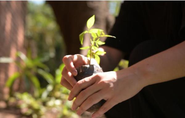 Campaña de concienciación ambiental cerró con entrega de mil plantines