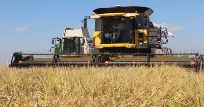 La Nación / Prevén excelentes resultados en la importación de tractores y cosechadoras