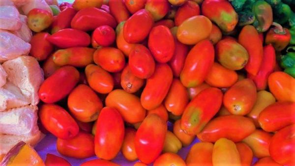 MAG anuncia entrada de gran producción de tomate y precios bajarían