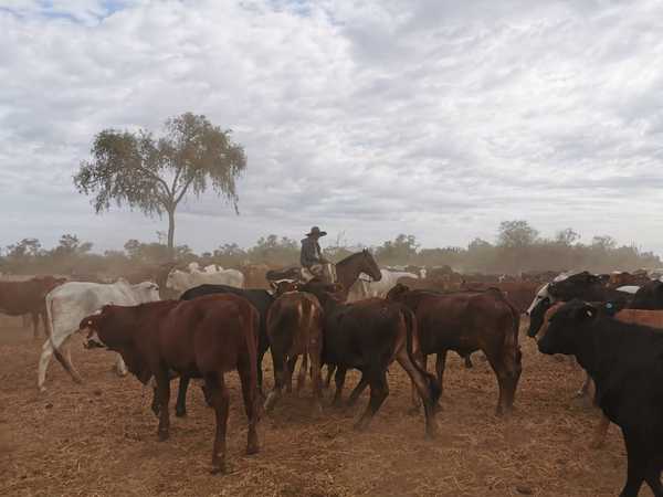 FARM muestra preocupación por trabas comerciales y el cambio climático