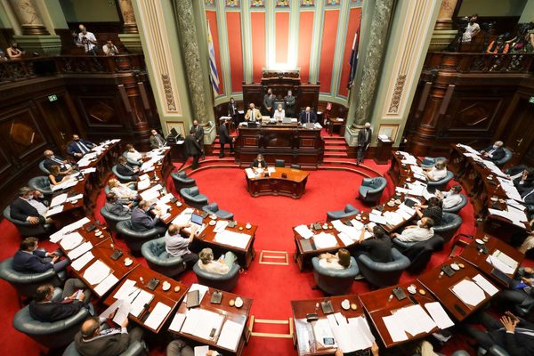 Combustible y educación, en el debate del Senado uruguayo en la Rendición de Cuentas - MarketData
