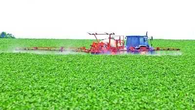 La ONU condena a Paraguay por fumigar en “domicilio” de guaraníes