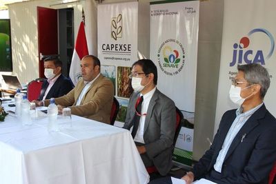 Exitoso proyecto garantiza mercado a 30.000 pequeños sesameros - Nacionales - ABC Color