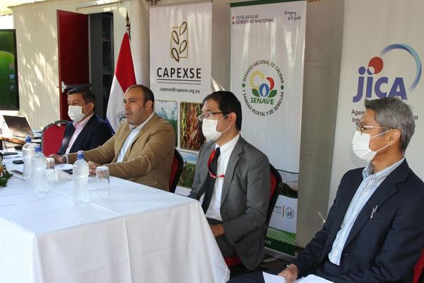 Exitoso proyecto garantiza mercado a 30.000 pequeños sesameros - Nacionales - ABC Color