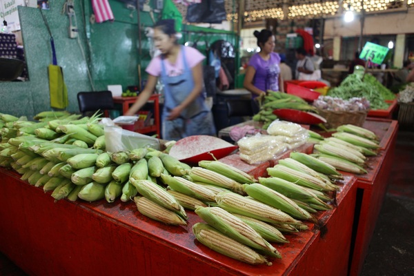 Supremo de México mantiene prohibición de siembra de maíz transgénico en país - MarketData
