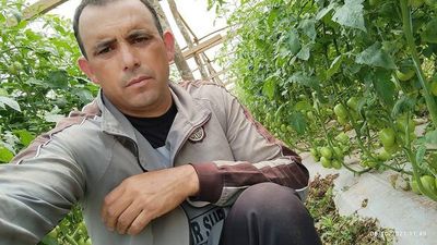Por escasez sube precio del tomate en 100% - Nacionales - ABC Color