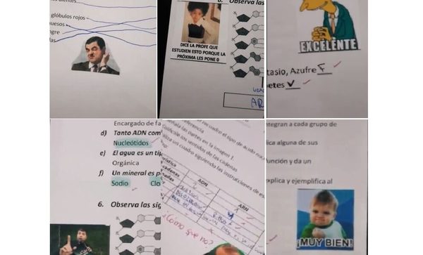 El ingenio de una profesora: Califica tareas de sus alumnos ¡CON MEMES!