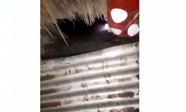 Piden ayuda ciudadana tras daños ocasionados por fuerte temporal – Prensa 5