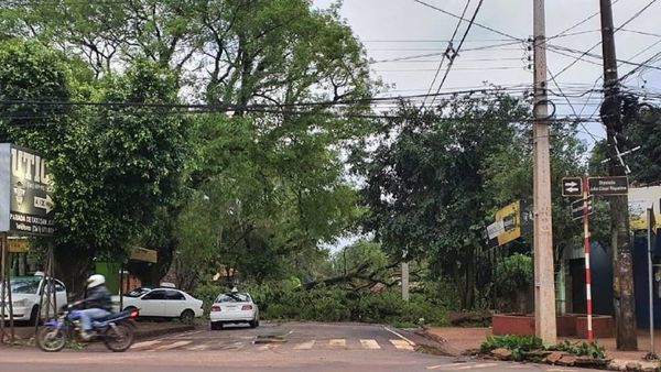 Tormenta dejó fuera de servicio 80 alimentadores en el Este del país