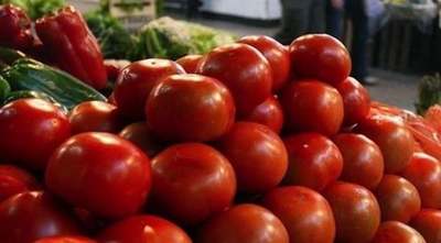 Productor desmiente escasez de tomate: “Por ninguna razón van a faltar productos hasta diciembre” | Ñanduti