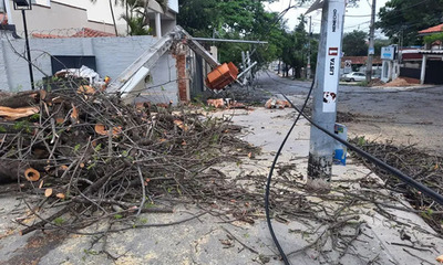 Basura, árboles caídos y zonas sin energía deja fuerte temporal