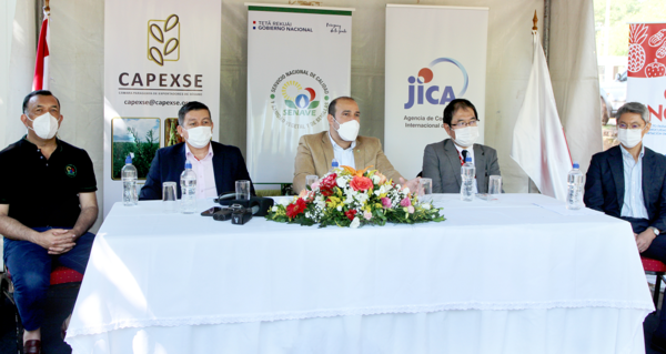 JICA apoyó al posicionamiento del sésamo paraguayo en el mercado global - .::Agencia IP::.