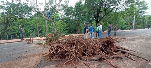 Tormenta dejó a más de 220 alimentadores de la ANDE fuera de servicio y una línea de transmisión - Nacionales - ABC Color