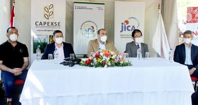 El sésamo paraguayo busca posicionarse en el mercado global