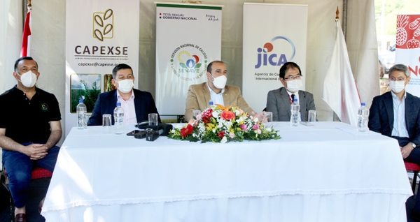 El sésamo paraguayo busca posicionarse en el mercado global