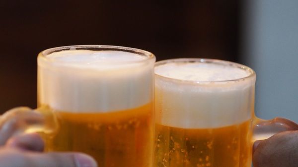 En Europa ya se bebía cerveza hace 2.700 años