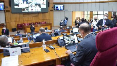 Senado rechaza prórroga de vencimiento de habilitaciones