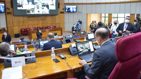 Senado rechaza prórroga de vencimiento de habilitaciones