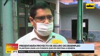 Presentarán proyecto de seguro de desempleo - ABC Noticias - ABC Color