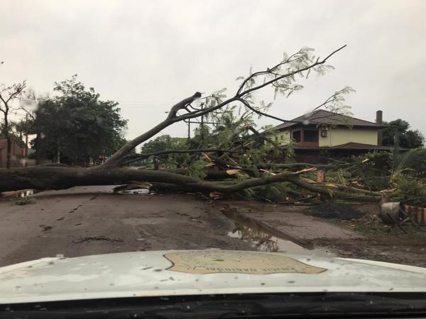 Vientos llegaron hasta 112 km/h y lluvias cayeron hasta 53 mm en el Este