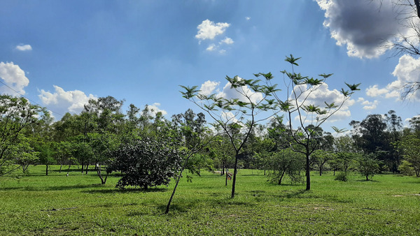 Preparan protocolo para prevenir incendios en el Parque Guasú - ADN Digital