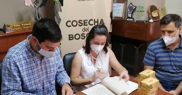 La Nación / Alianza a favor de la yerba