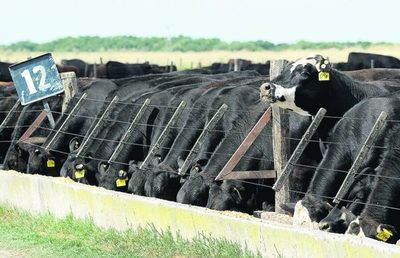 El Novillo Mercosur bajó 9% desde que China suspendió a Brasil