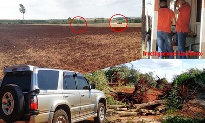 Desmontan un bosque en colonia La Fortuna bajo protección de agentes de Investigación de San Alberto – Diario TNPRESS