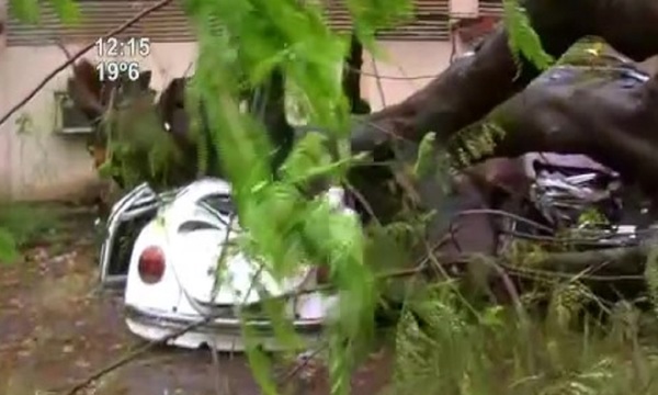 Árbol aplastó un auto en el IPS central - SNT