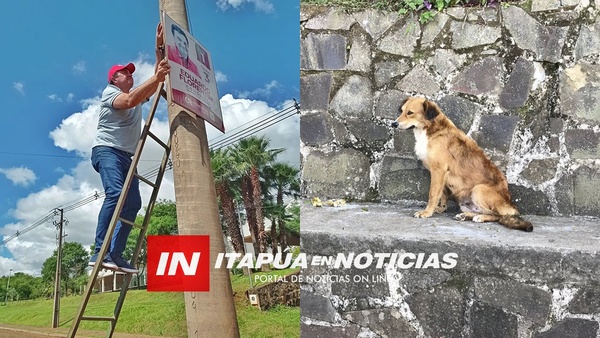 CANDIDATO LIMPIÓ LA CIUDAD DE SU PROPAGANDA Y AHORA PREPARA CASAS PARA PERROS CALLEJEROS