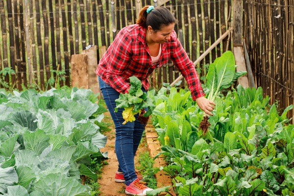 Ministerio de Trabajo capacitó a más de 20.000 mujeres rurales durante este año