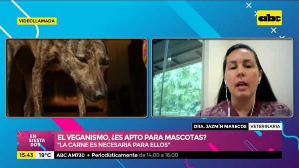 El veganismo, ¿es apto para mascotas? - Ensiestados - ABC Color