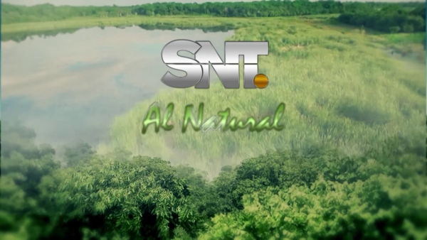 #SNTAlNatural: Ecosistemas, Chaco Paraguayo - SNT