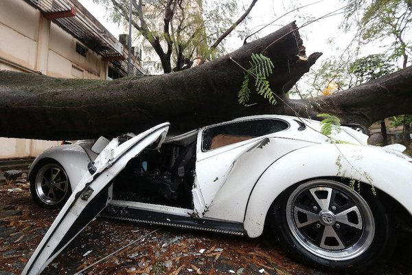 Crónica / FUSCA QUEDÓ CHIPE. Doc casi no usaba porque “era su joyita”