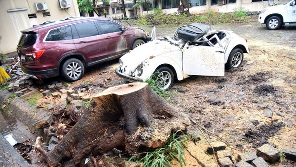 Autos aplastados por árboles caídos y toneladas de basura tras temporal