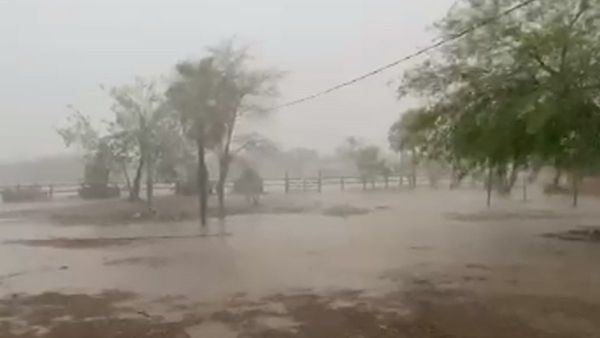 Importantes lluvias dan respiro a varias zonas del Chaco