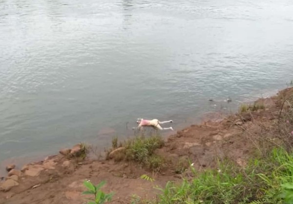 Flota un CADAVER en las aguas del río Paraná