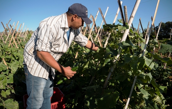 Nace ARA, iniciativa para valorizar la agricultura familiar paraguaya •