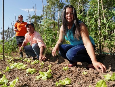 Desarrollarán una serie de actividades para valorizar la agricultura familiar paraguaya - .::Agencia IP::.