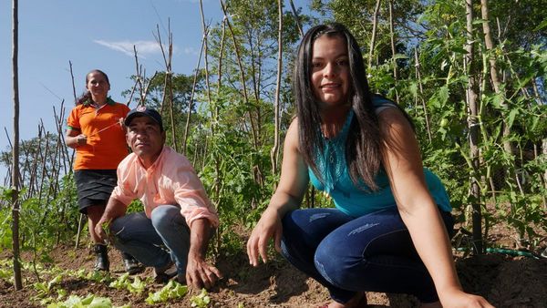Presentan iniciativa para valorizar la agricultura familiar paraguaya