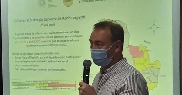 La Nación / Senepa inactivó cerca de 210 mil criaderos de dengue en el país