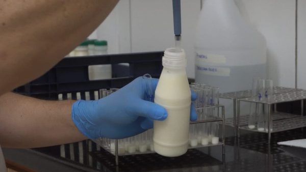 CAPAINLAC lanza Concurso Nutrileche 2021 para promover el consumo de leche | OnLivePy