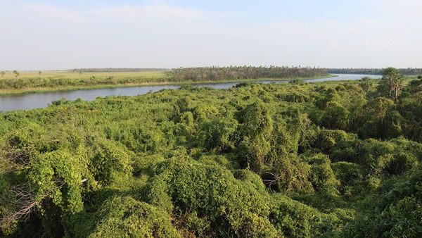 Naufragio de barco en río Paraguay deja 3 muertos y 4 desaparecidos