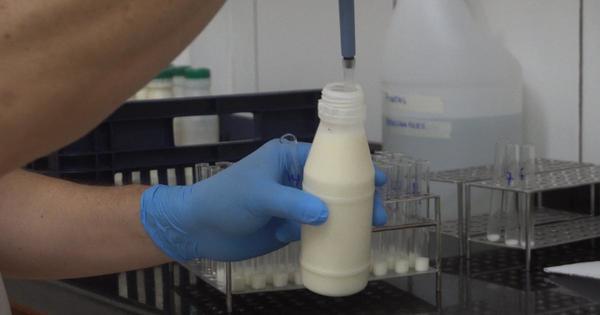 Lanzan concurso para promover consumo de leche y productos lácteos