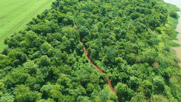 Itaipu conmemora Día de las Áreas Silvestres Protegidas con acciones de conservación - .::Agencia IP::.