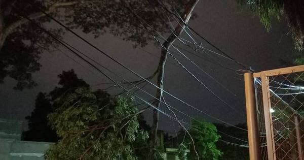 La Nación / Vecinos en peligro: bomberos piden que la Ande corte energía para sacar tronco atorado entre cables