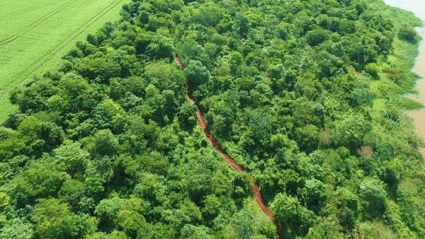 Itaipu conmemora Día de las Áreas Silvestres Protegidas con acciones de conservación - El Independiente