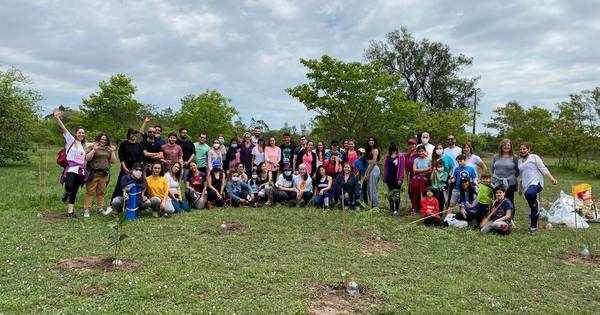 La Nación / Voluntarios plantan 50 árboles en el parque Ñu Guasu este domingo